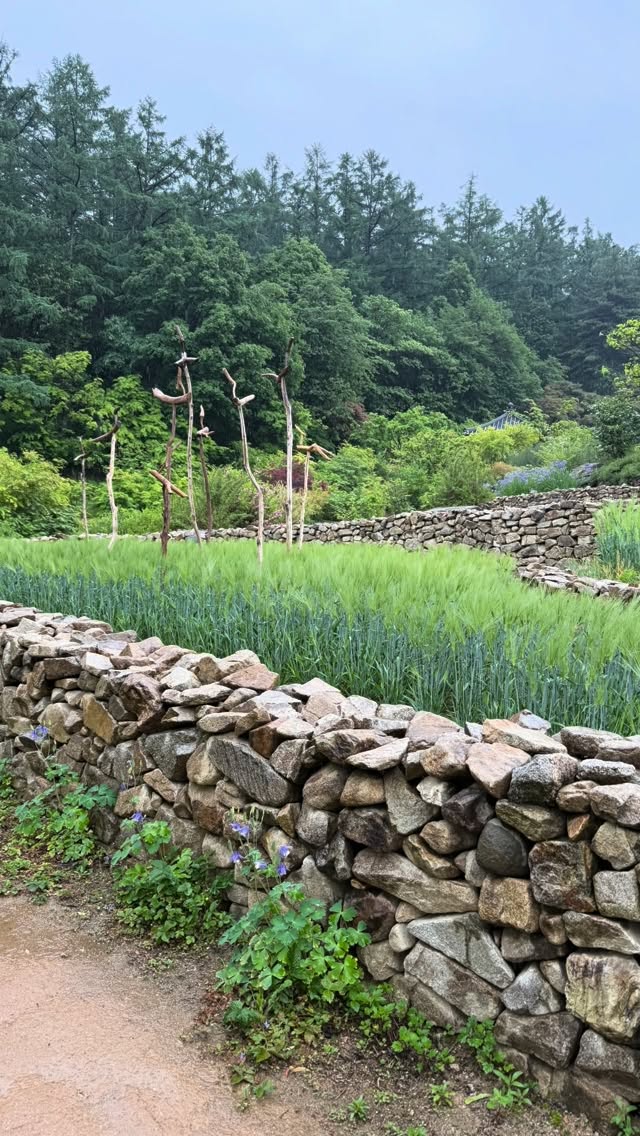 @seulgijumeoni이 올린 순수한복 태그 게시물