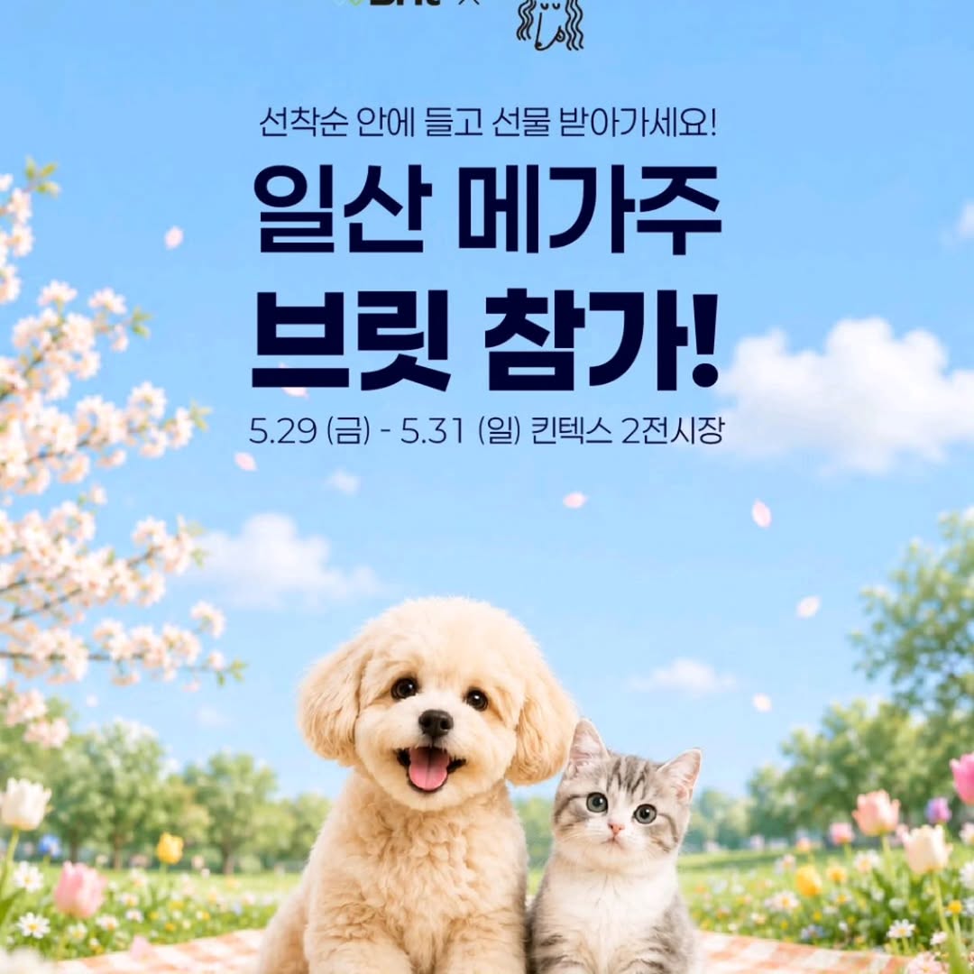 @ssstar.0920이 올린 탑펫코리아 태그 게시물