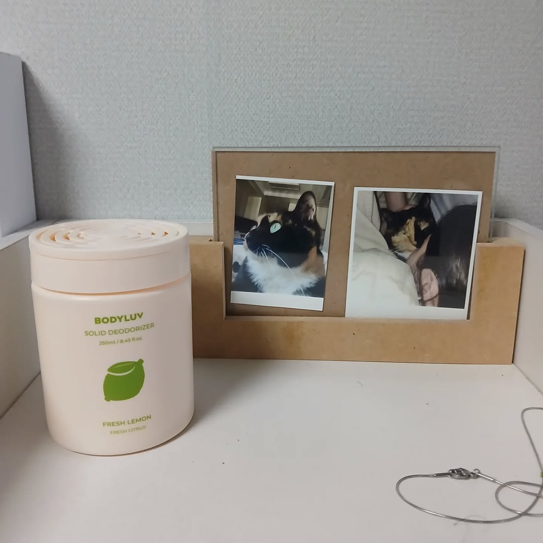 @myohae_cats이 올린 바디럽 태그 게시물