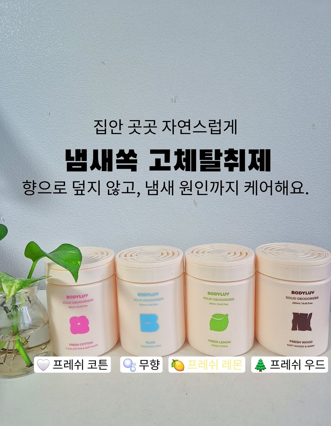 @momhoilove이 올린 바디럽 태그 게시물