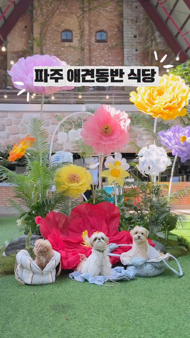 @kiwi____0이 올린 동백온실 태그 게시물