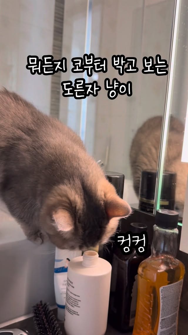 @guksu._.ya이 올린 바디럽 태그 게시물