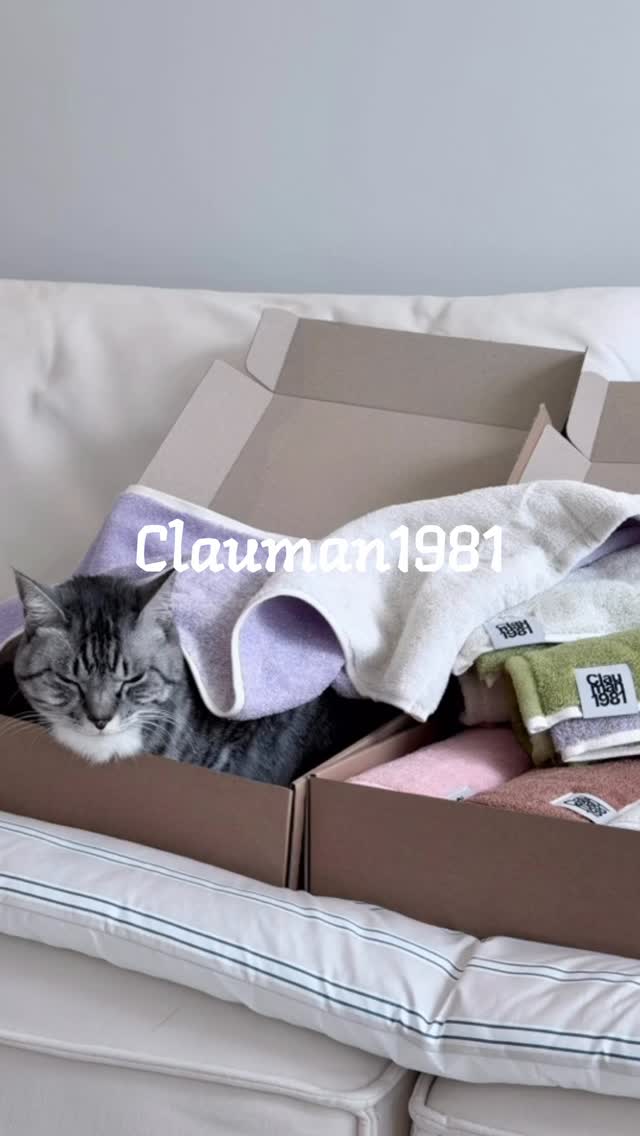 @muumeowmeow이 올린 클라우망1981 태그 게시물