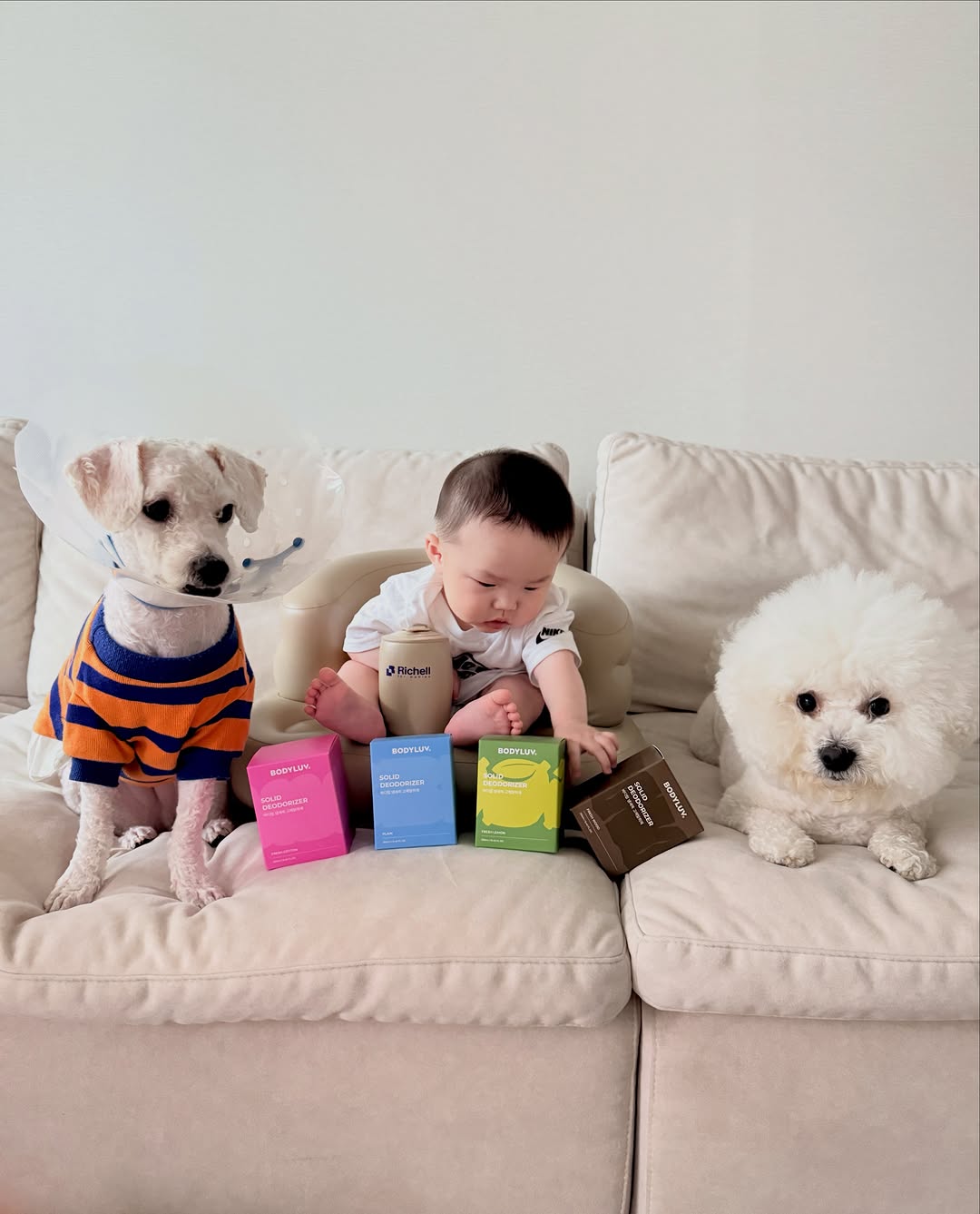 @iam_yi_ahn이 올린 바디럽 태그 게시물