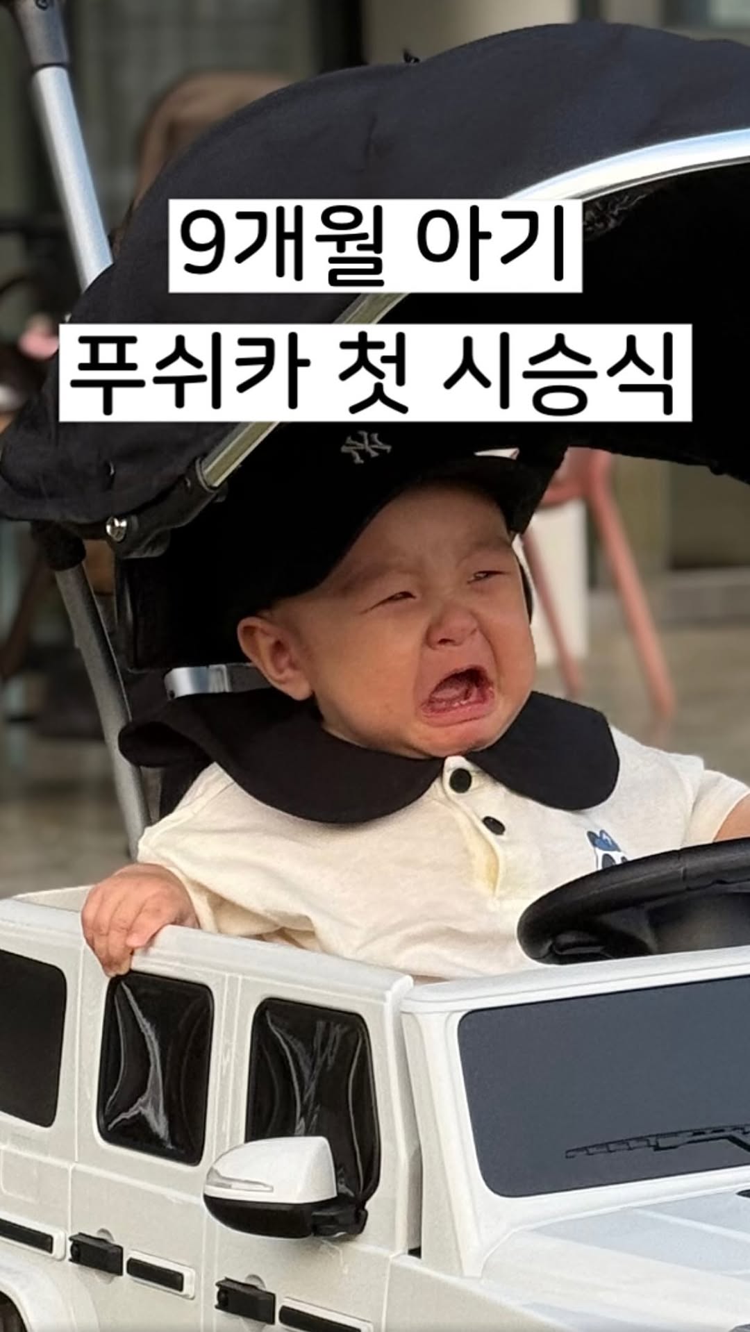 @__joyoon이 올린 파파야나인 태그 게시물