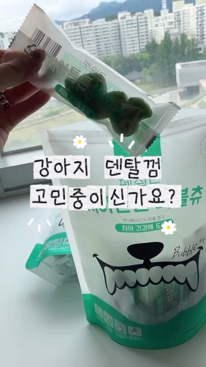 @luki_bok2이 올린 펫쉴드 태그 게시물