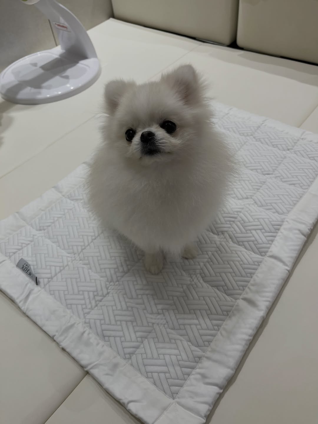 @doo_san_eee이 올린 더릭스홈 태그 게시물