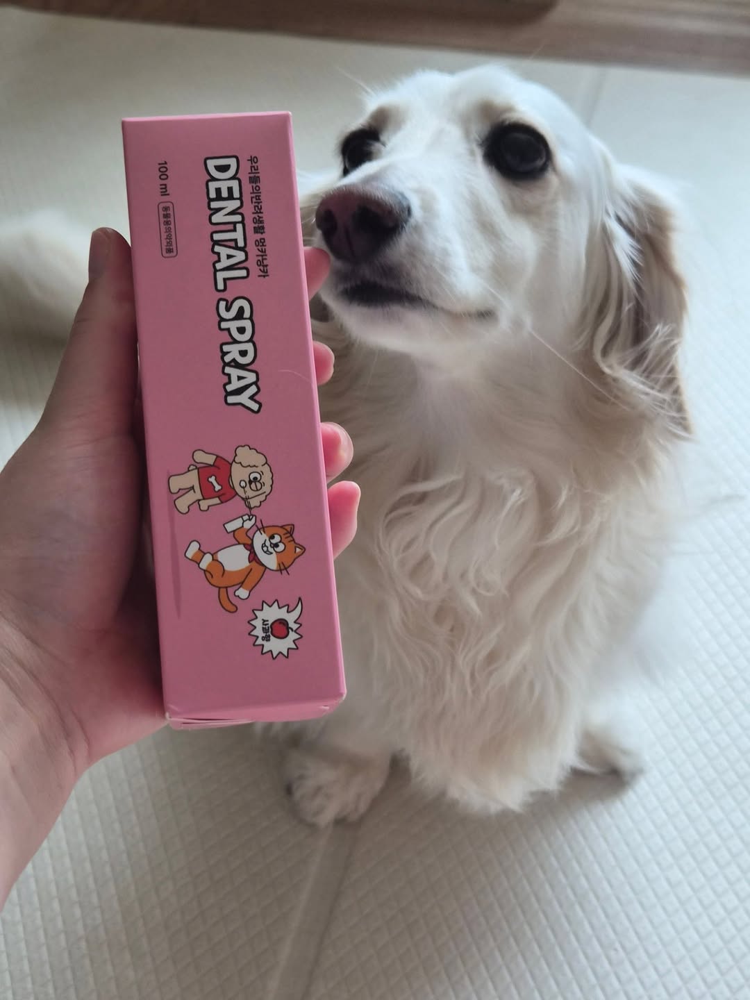 @molly__1005이 올린 피피 태그 게시물