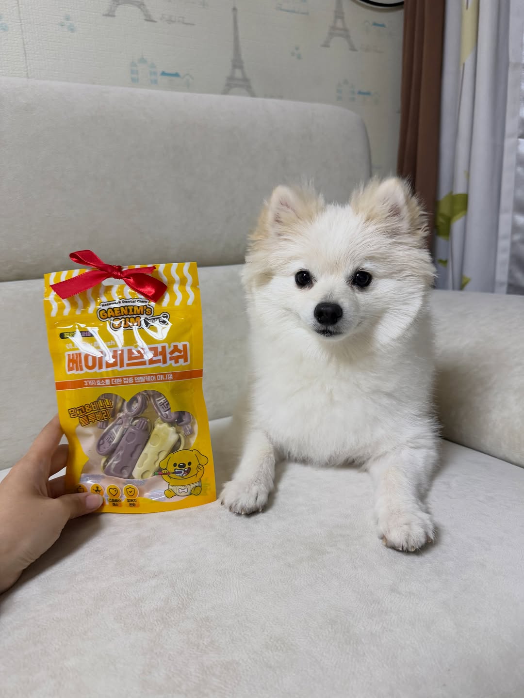 @legend_seoroo이 올린 피피 태그 게시물
