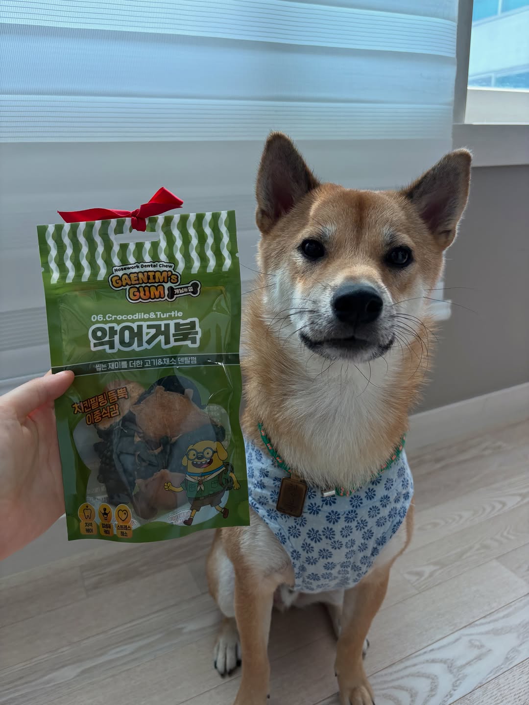 @hambok_shiba이 올린 피피 태그 게시물