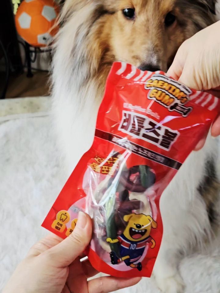 @sheltie_royy이 올린 피피 태그 게시물