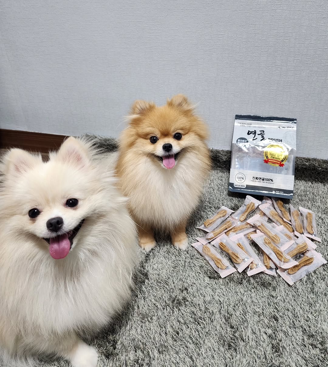@coco_songi.zip이 올린 뉴트리오 태그 게시물
