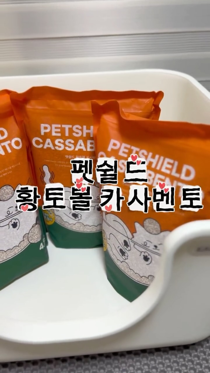 @dddddubi22이 올린 펫쉴드 태그 게시물