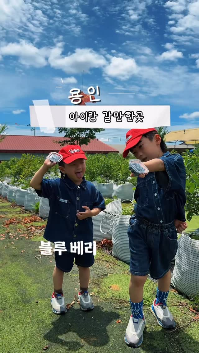 @mini4986이 올린 포레스트벨 태그 게시물