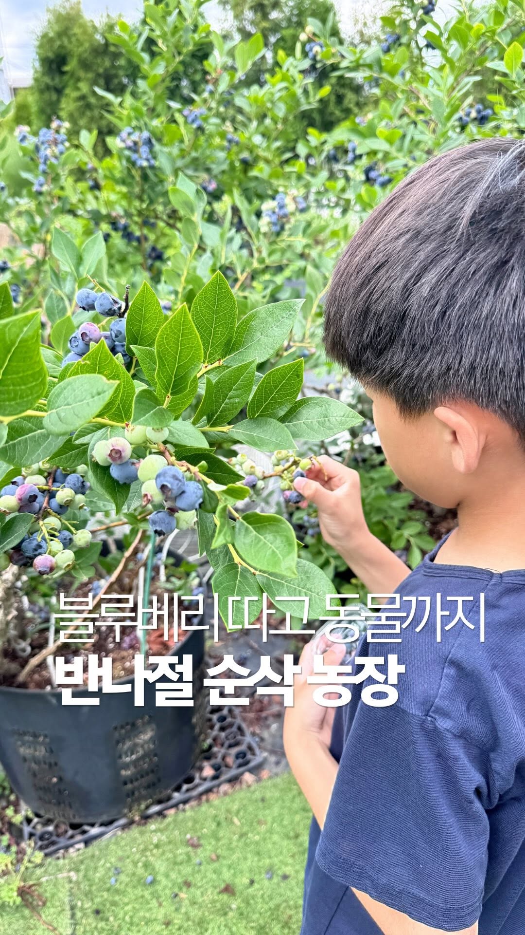 @warm_trip_days이 올린 포레스트벨 태그 게시물
