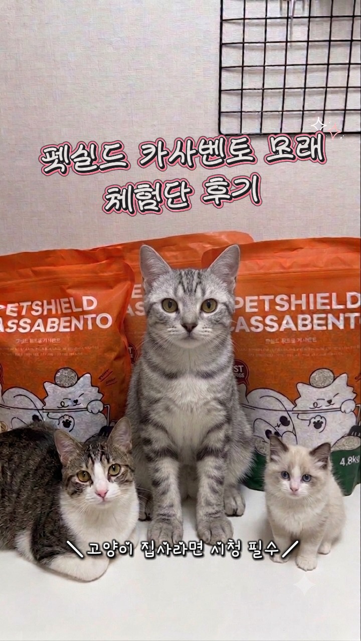 @huchuxx_이 올린 펫쉴드 태그 게시물