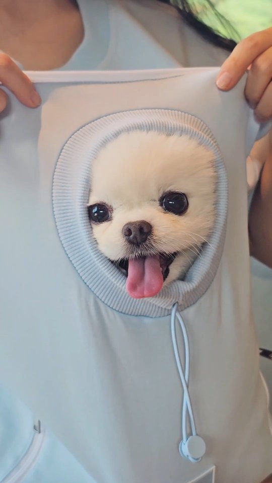 @mayo_pori이 올린 무뮤리 태그 게시물