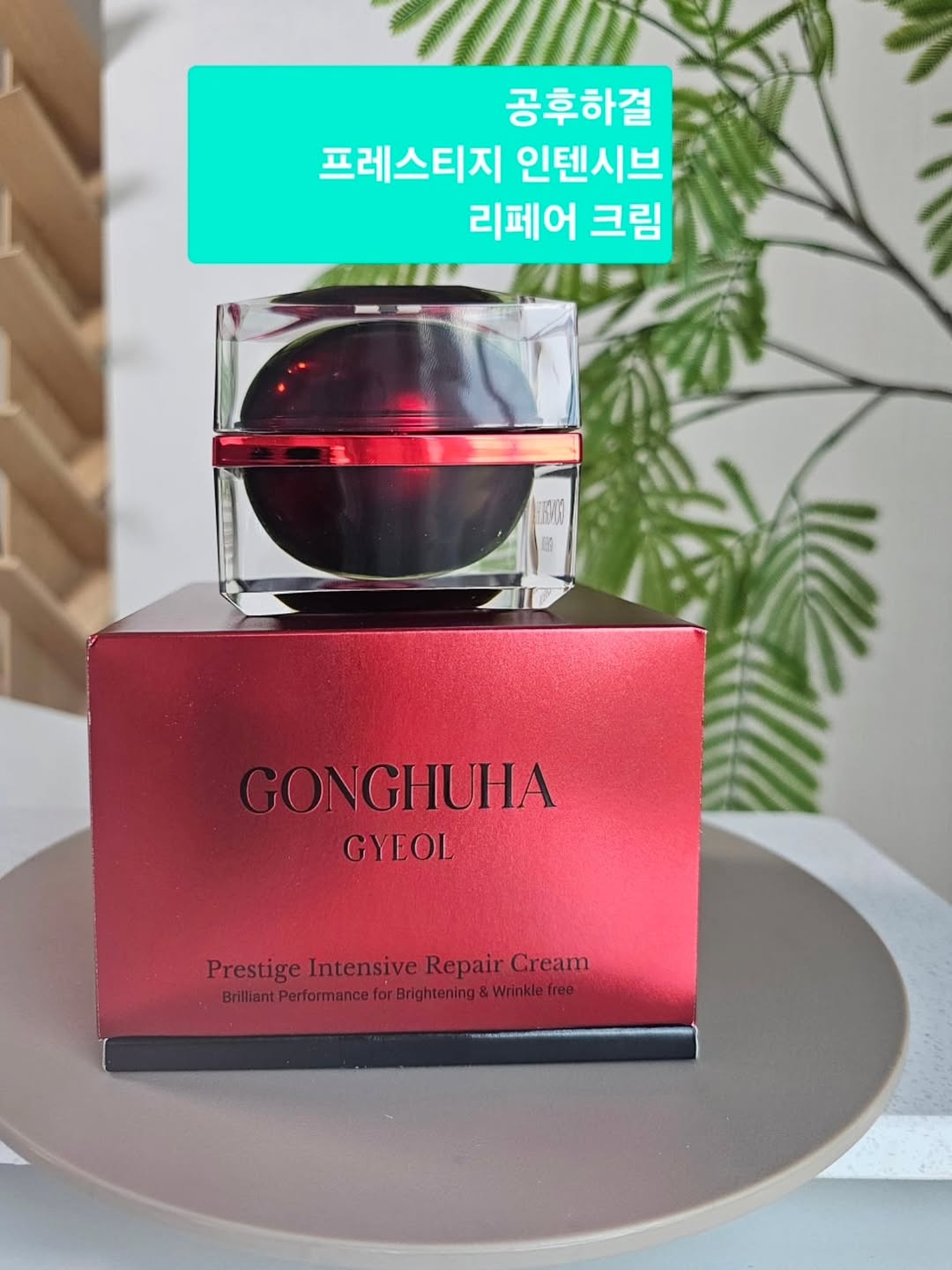 @bossjorry이 올린 공후하 태그 게시물