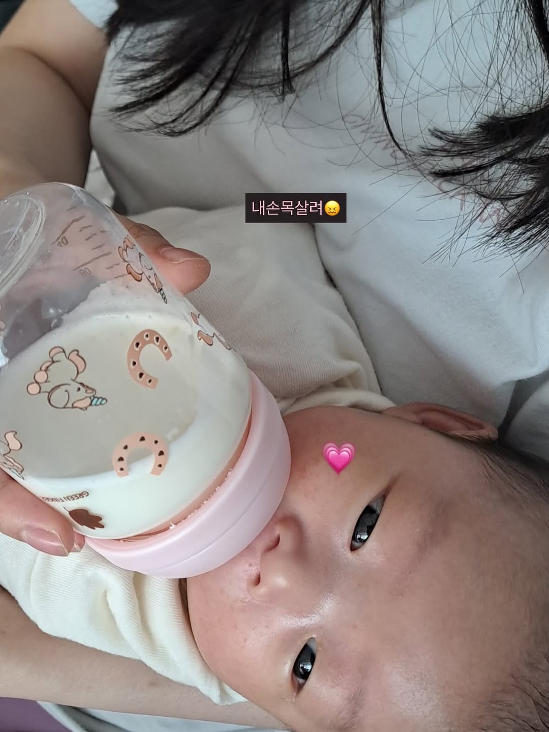 @sangsang_roha이 올린 푸키포키 태그 게시물