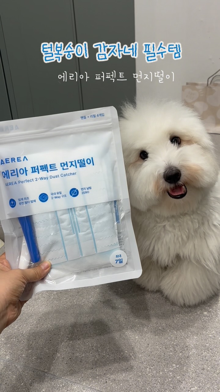@potato_kko이 올린 AEREA 에리아 태그 게시물