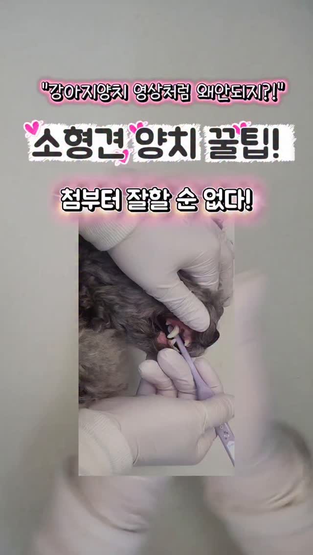 @bebe_landworld이 올린 큐라덴 코리아 태그 게시물