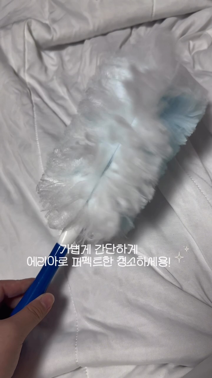 @02.06_ddomi이 올린 AEREA 에리아 태그 게시물