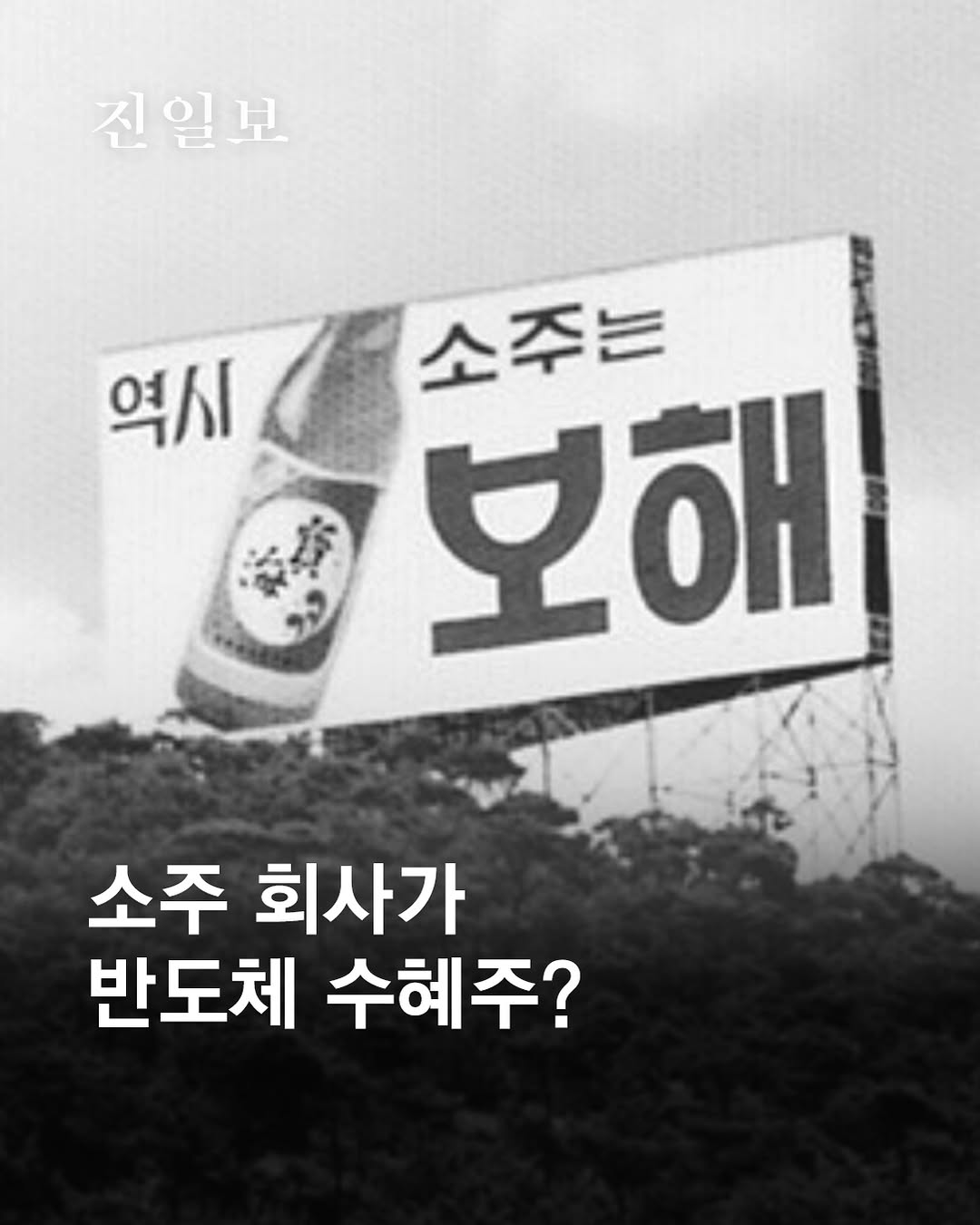 @jnilbo이 올린 보해양조 태그 게시물