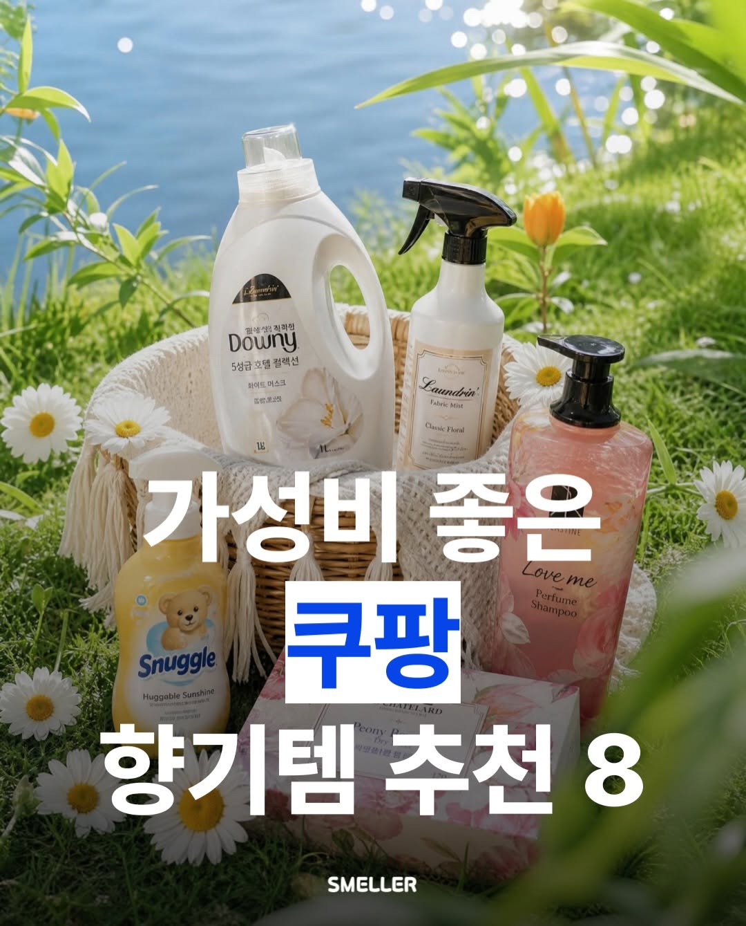 @smeller_news이 올린 엘라스틴 태그 게시물