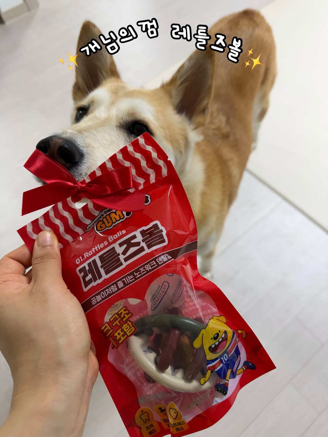 @ma_rron_sj이 올린 피피 태그 게시물