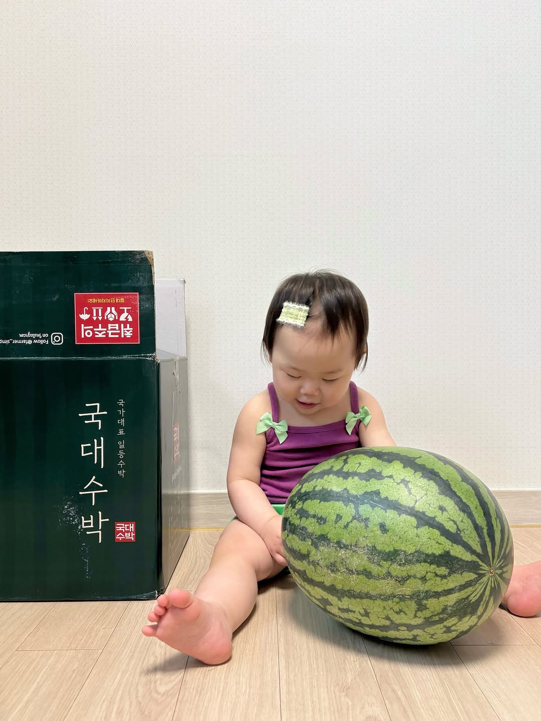 @bbom.__.bebe이 올린 파머심슨 수박연구소 태그 게시물