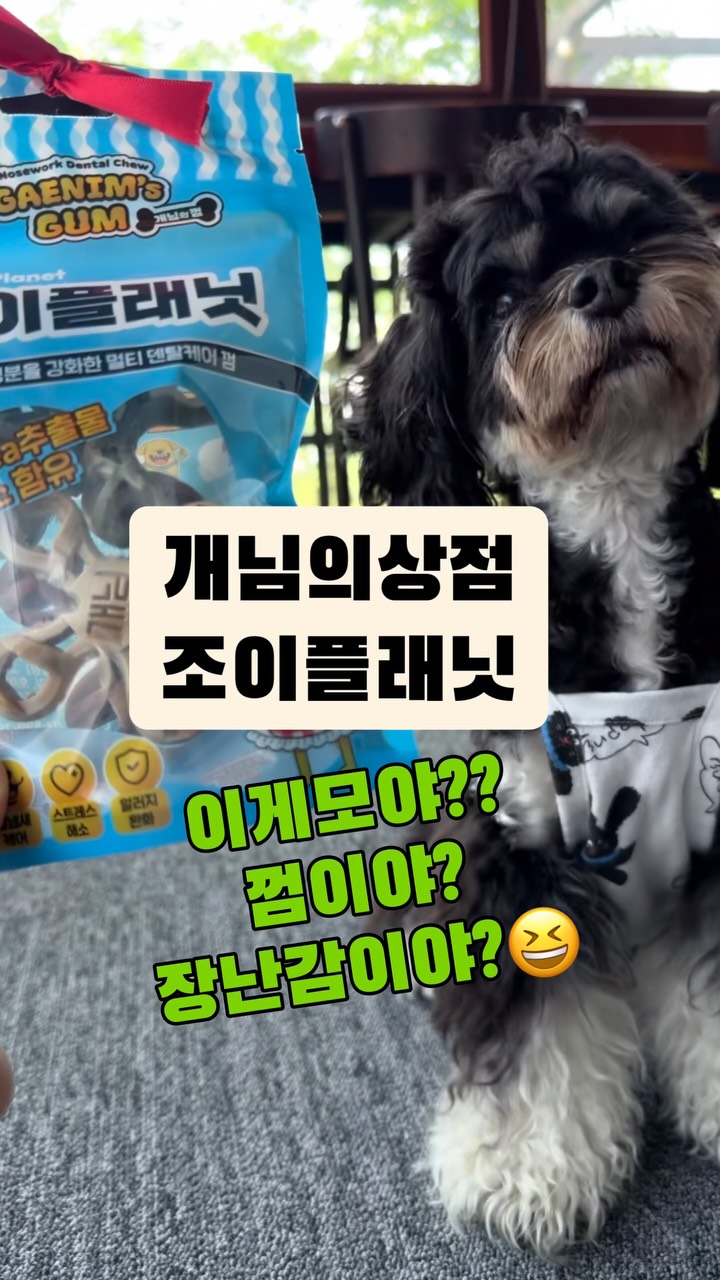 @byeoru_0719이 올린 피피 태그 게시물
