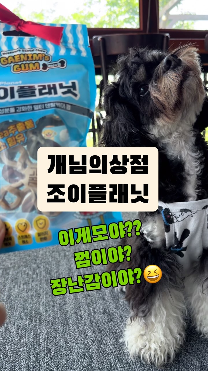 @byeoru_0719이 올린 피피 태그 게시물