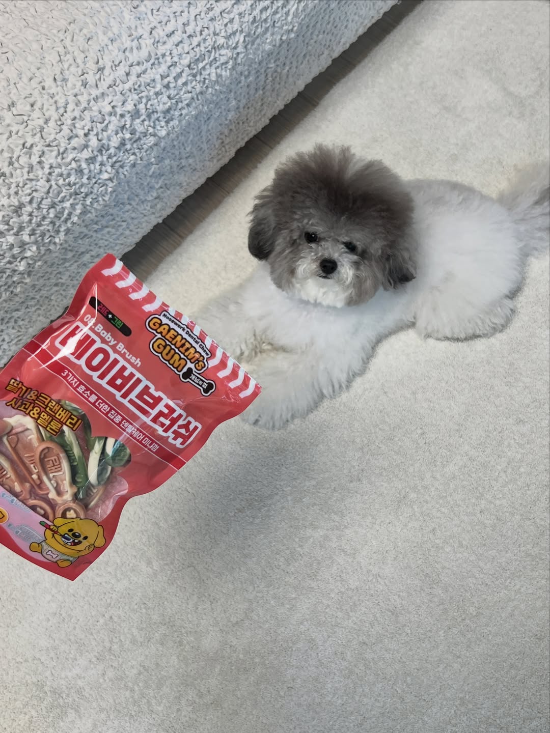 @siru._.ruru이 올린 피피 태그 게시물