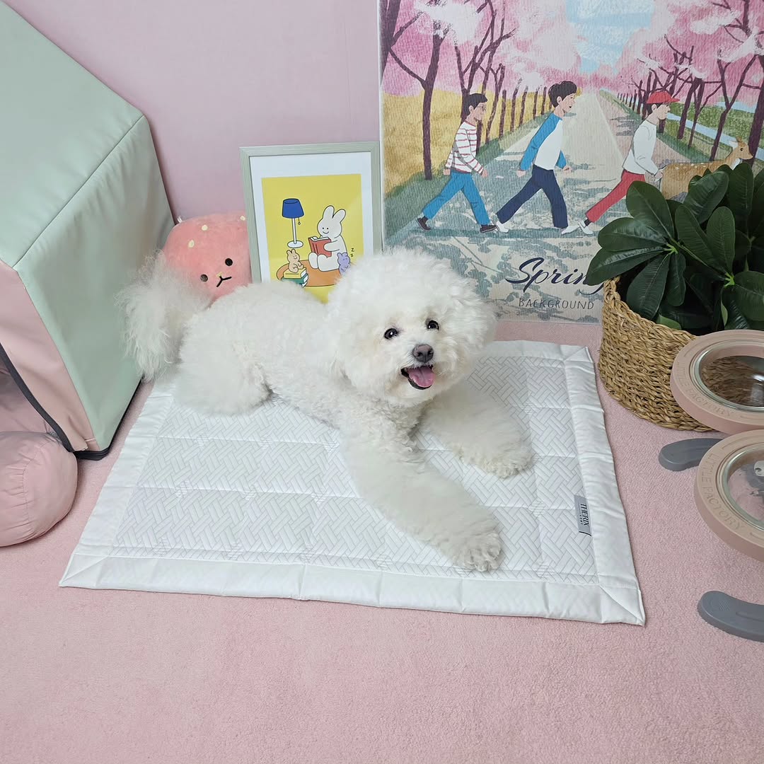 @dan.pung2이 올린 더릭스홈 태그 게시물