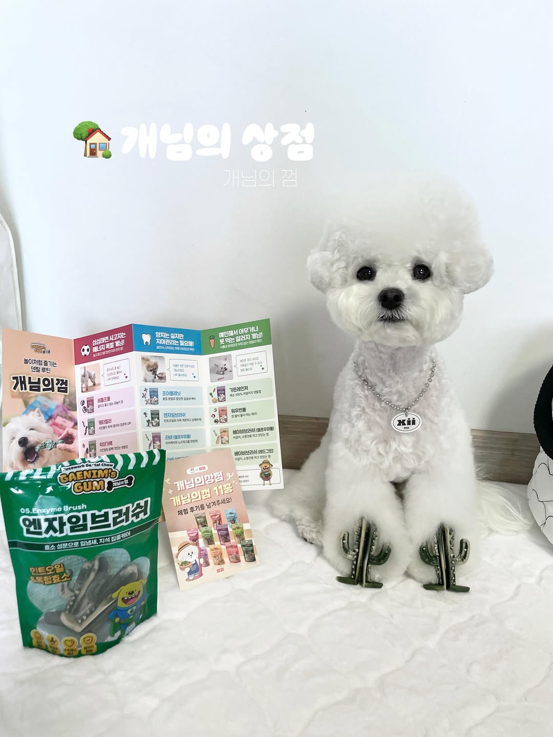 @xii.apt이 올린 피피 태그 게시물