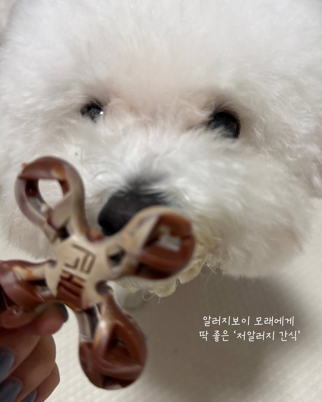 @marineboy_sand이 올린 피피 태그 게시물