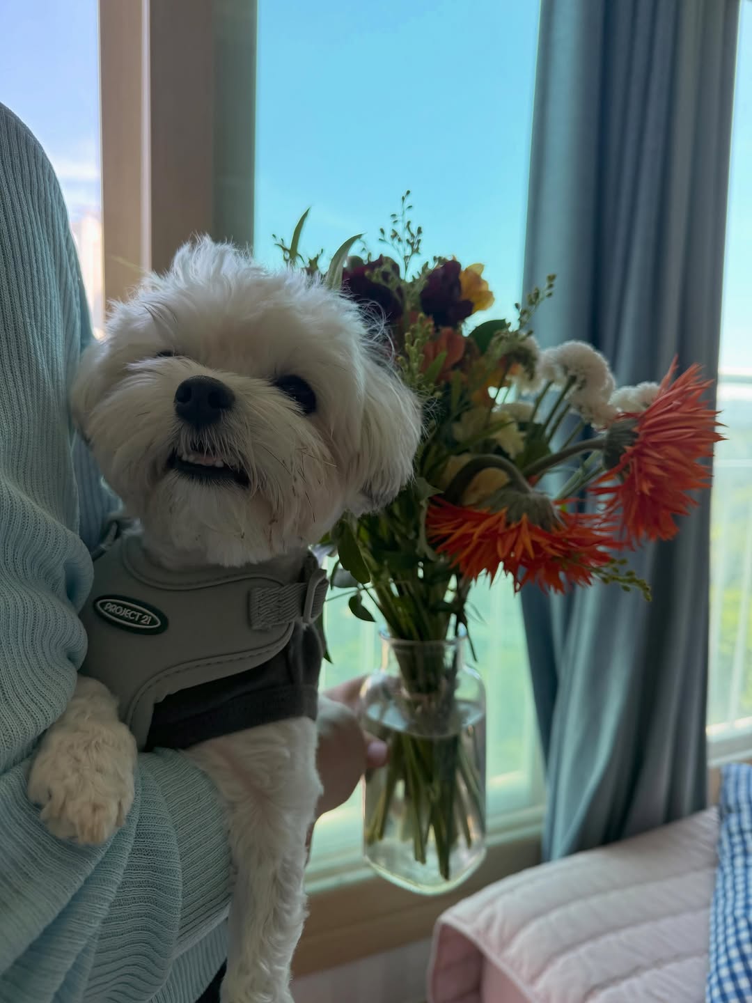 @louie.adorable이 올린 플립플라워 태그 게시물