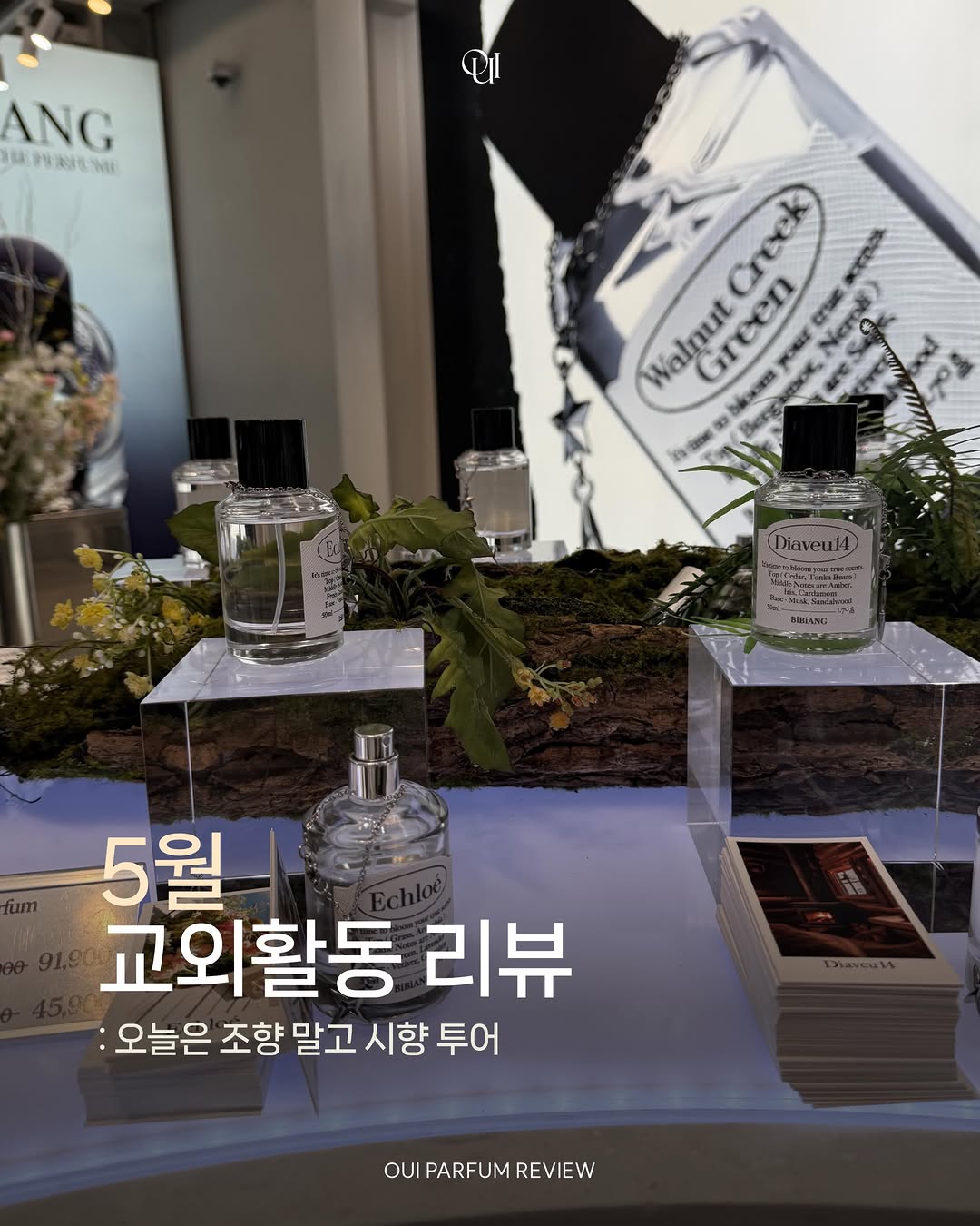 @oui_parfum_tuk23이 올린 OQIDO 오키도 태그 게시물