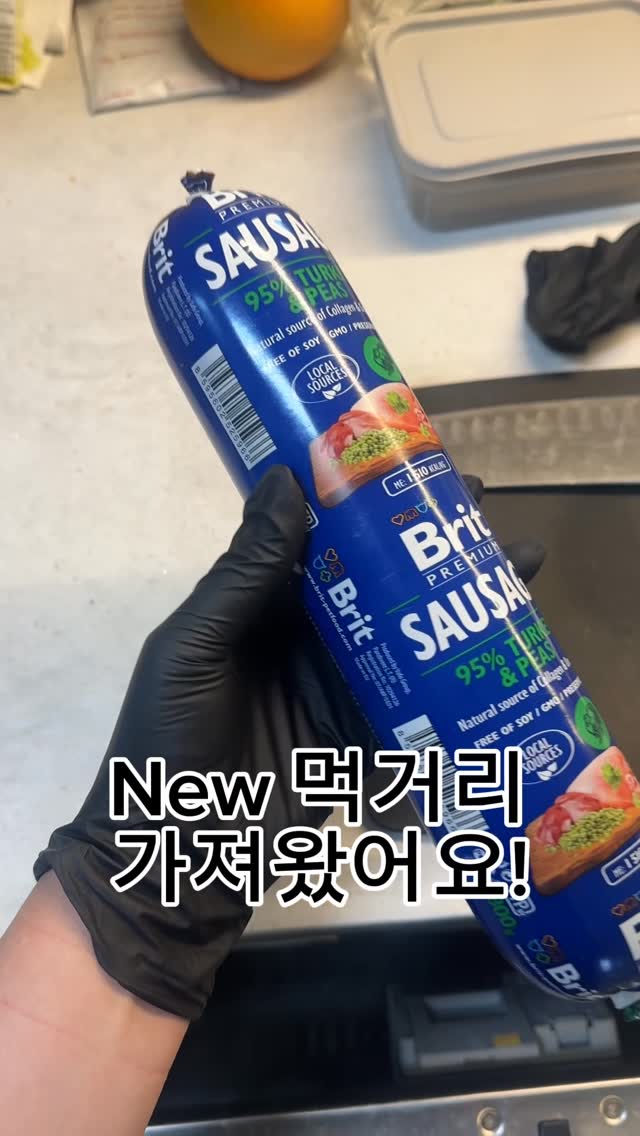 @gureum_n_bbang이 올린 탑펫코리아 태그 게시물