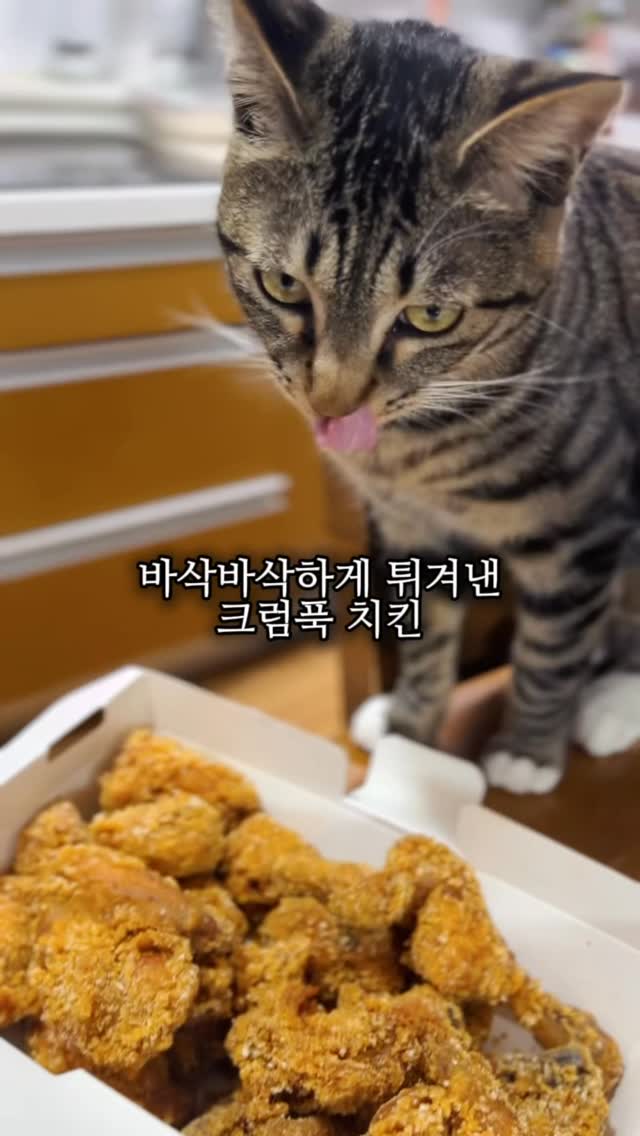 @in.the__angela이 올린 바른치킨 태그 게시물
