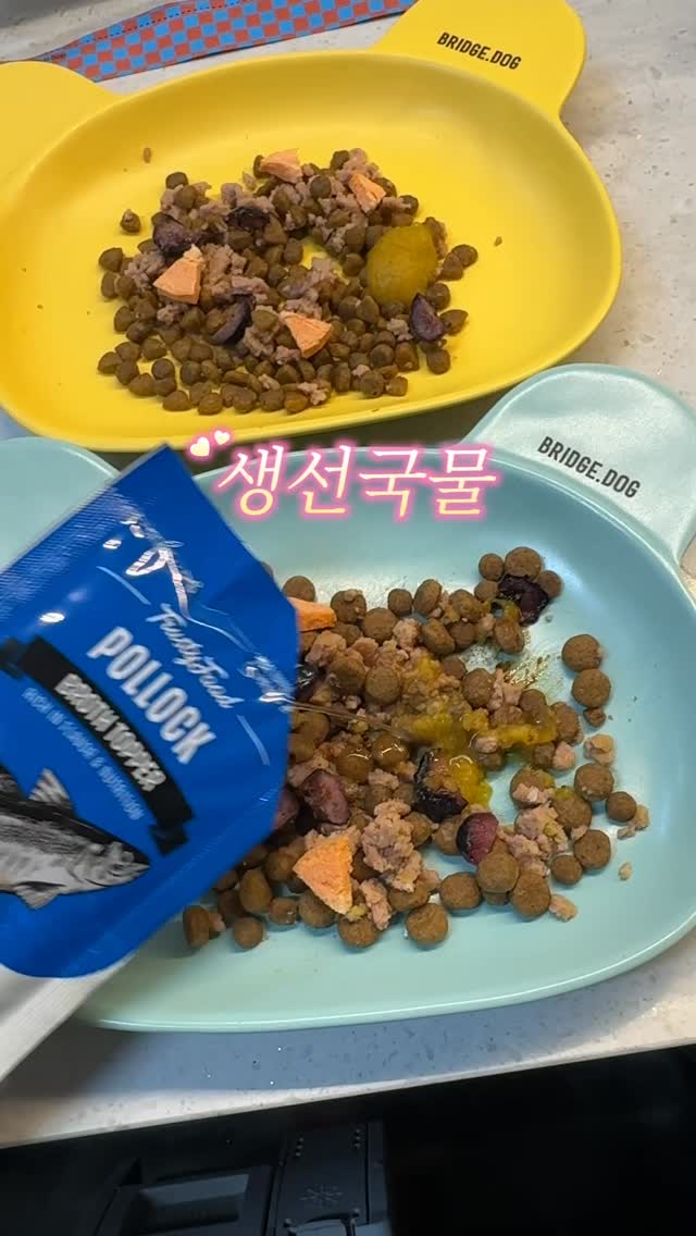 @gureum_n_bbang이 올린 탑펫코리아 태그 게시물