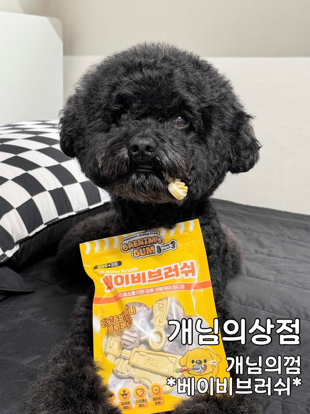 @klm.bao이 올린 피피 태그 게시물