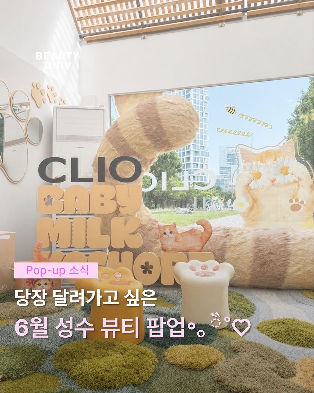 @beauty__univ이 올린 OQIDO 오키도 태그 게시물