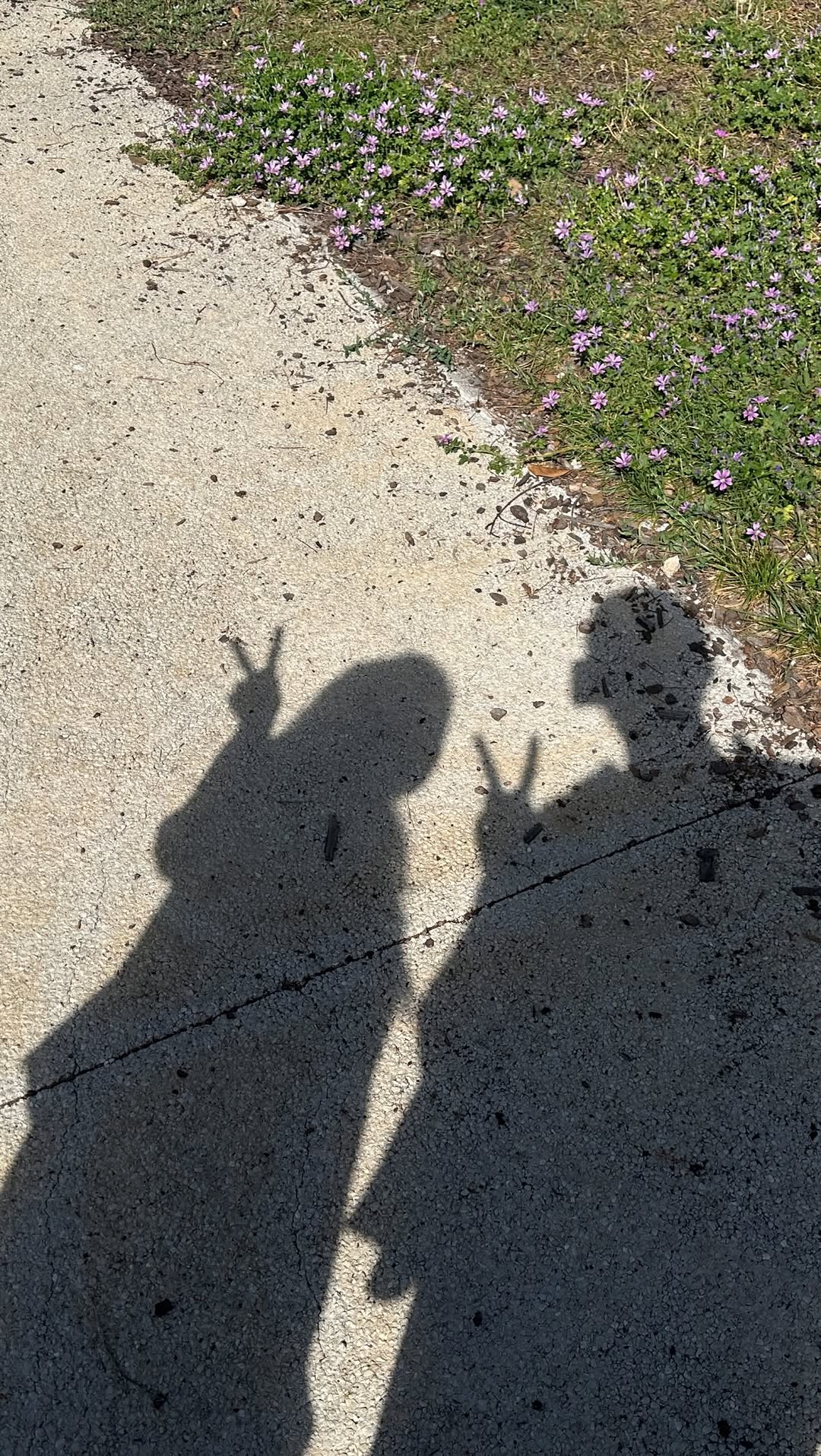 @_s.ring_이 올린 VIP크루즈 태그 게시물