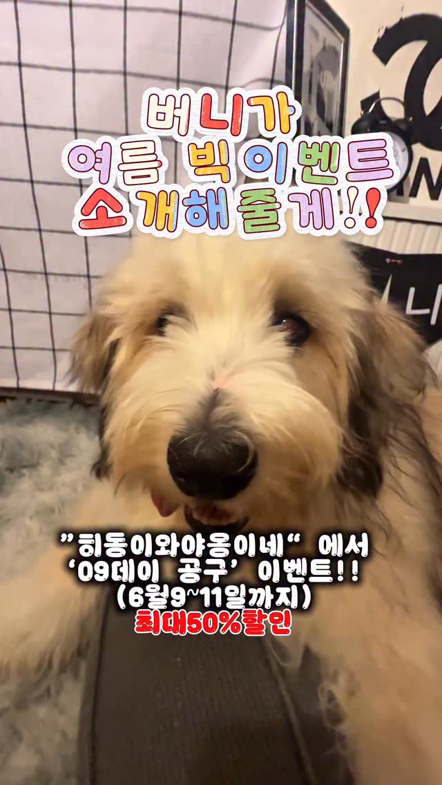 @sunnydoodlelife_93이 올린 히동이와야옹이네 | 강아지사료 · 애견사료 · 강아지간식 태그 게시물