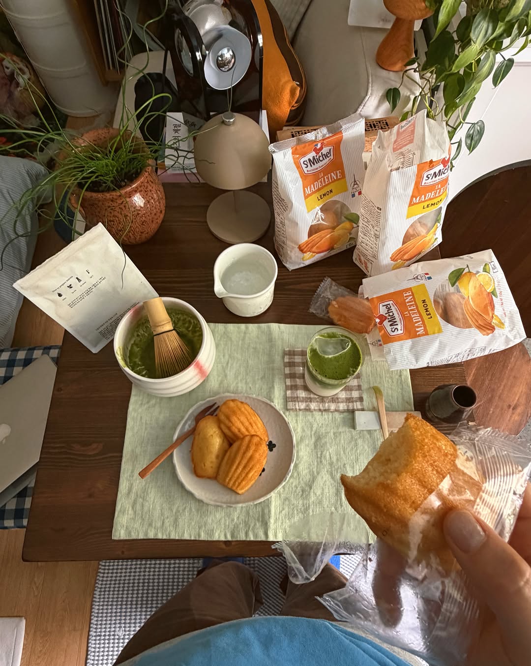 @iambyeorri이 올린 생미쉘 태그 게시물