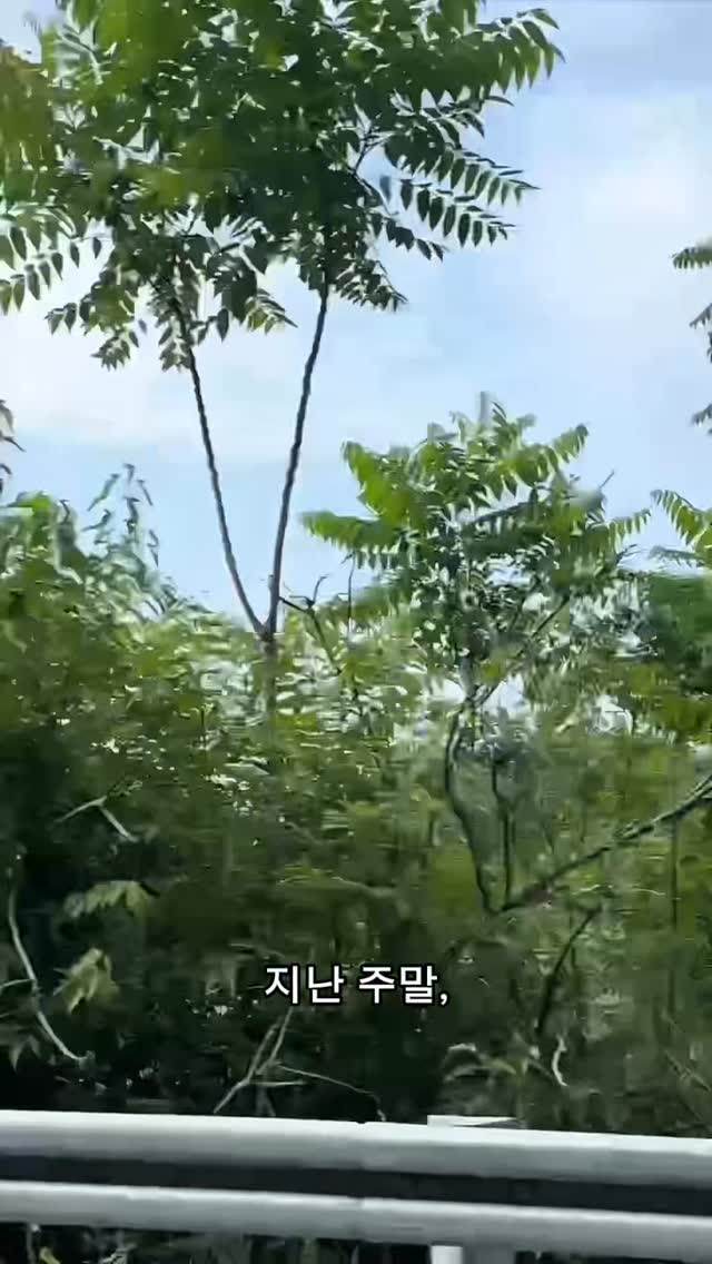 @prjt_soop이 올린 영월 쪼매장 태그 게시물