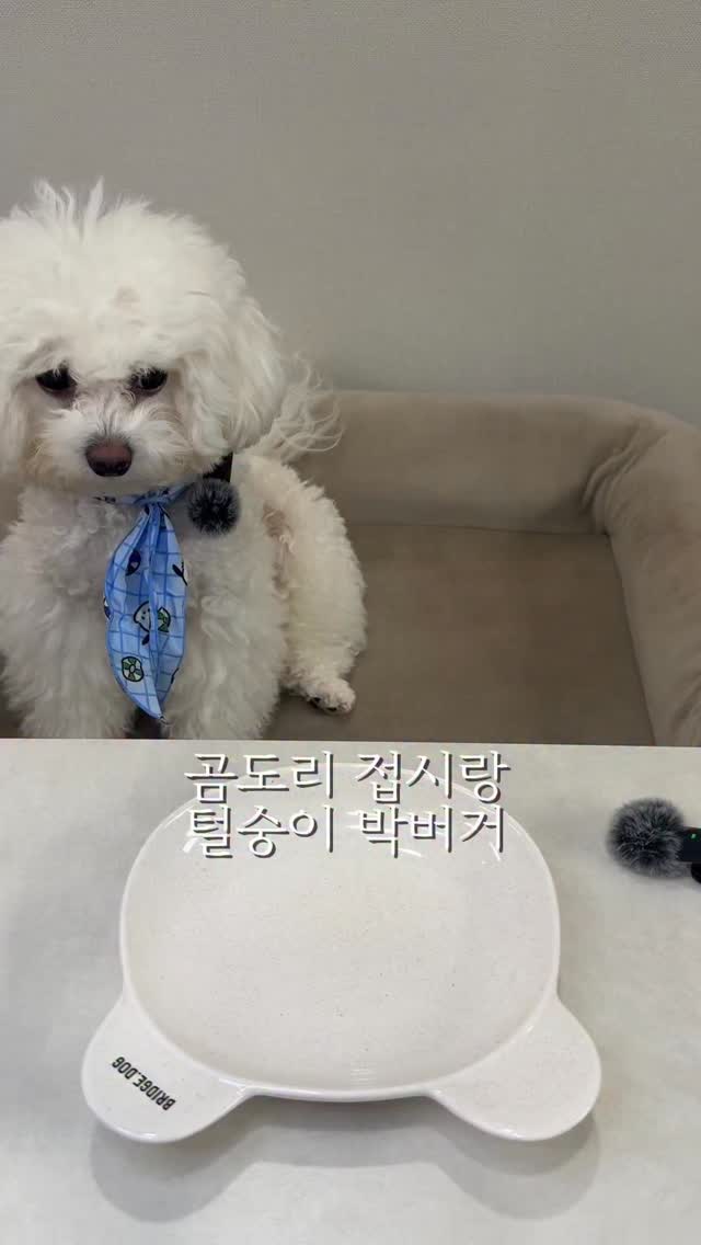 @theburgarchive이 올린 싱포밀 태그 게시물