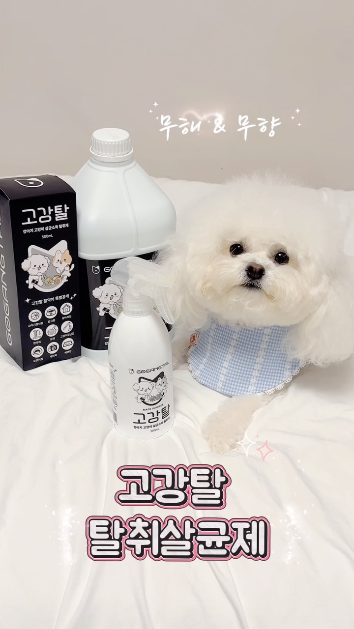 @mozzi__ccomi이 올린 고강탈 태그 게시물