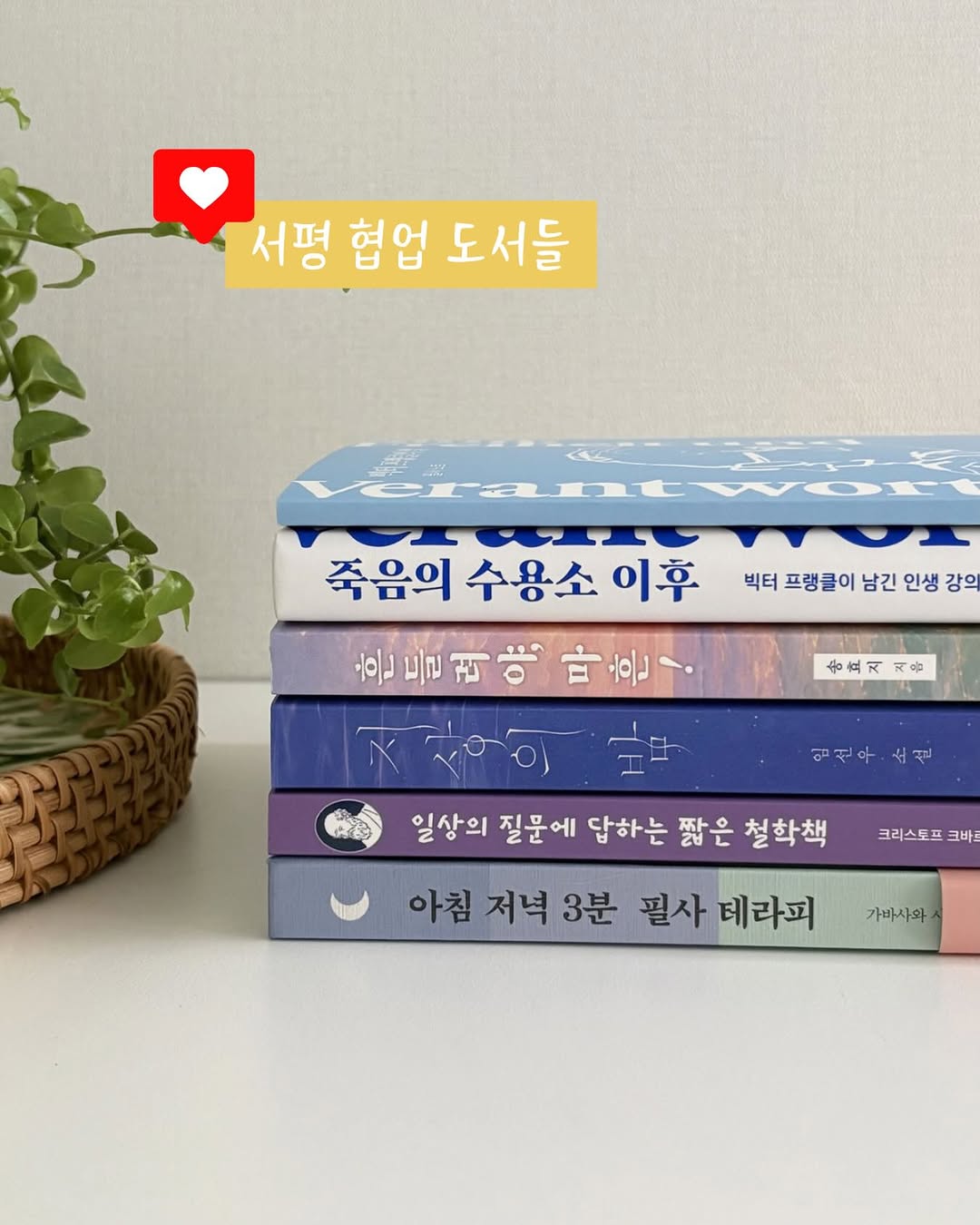 @rinob_ooks이 올린 이너뷰 태그 게시물
